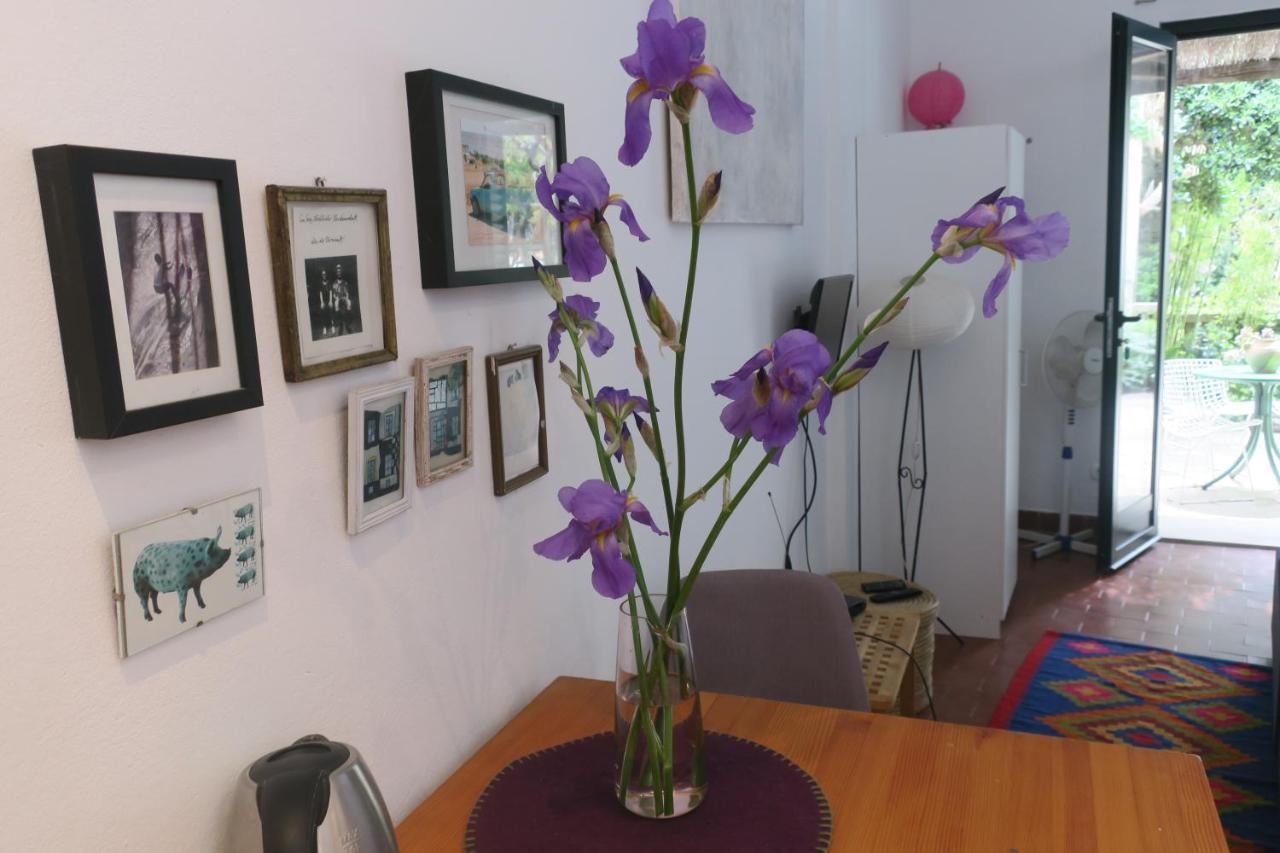 דוברובניק Villa Miomir מראה חיצוני תמונה