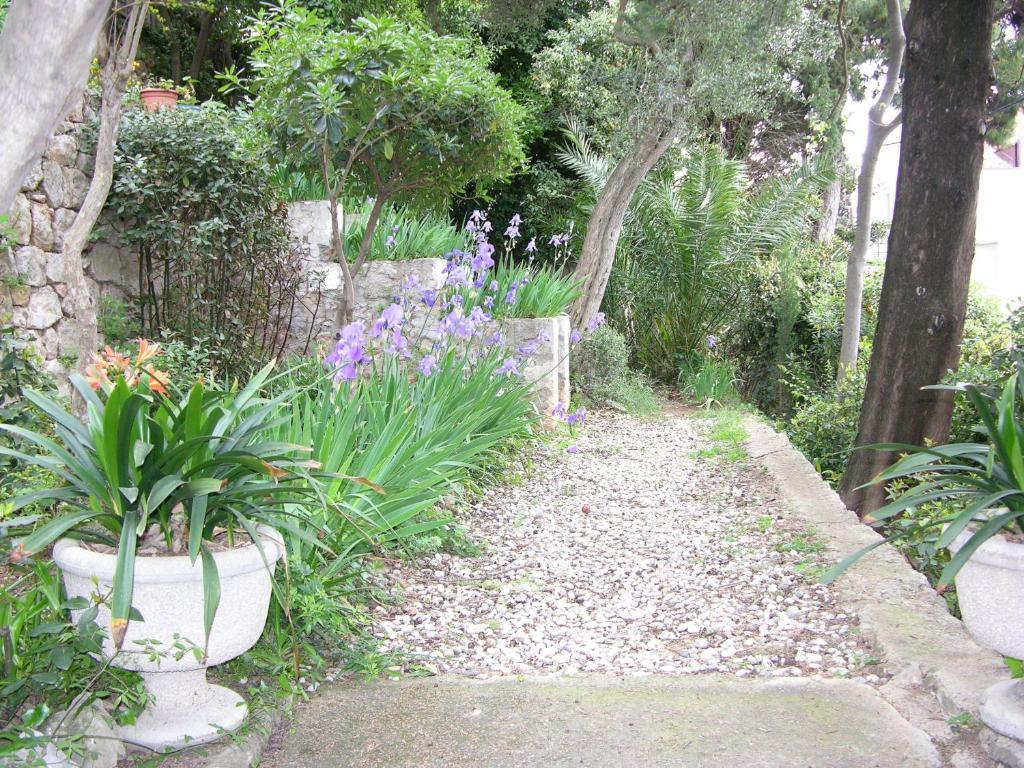 דוברובניק Villa Miomir מראה חיצוני תמונה
